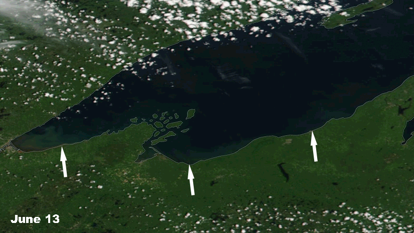 arrows in this before-and-after comparison of satellite images