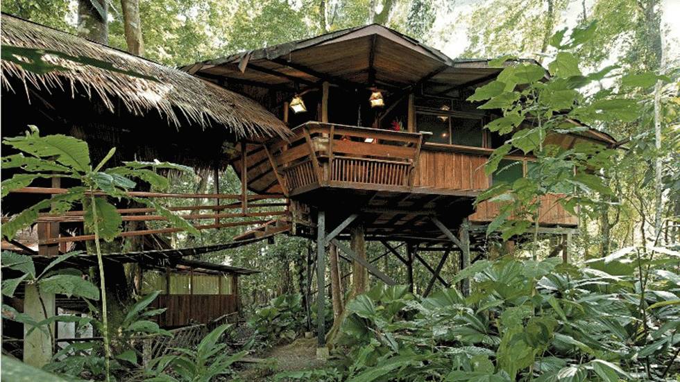 The exterior of the Costa Rica Tree House Lodge in Punta Uva, Costa Rica, within the Gandoca-Manzanillo Wildlife Refuge. (Costa Rica Tree House Lodge)