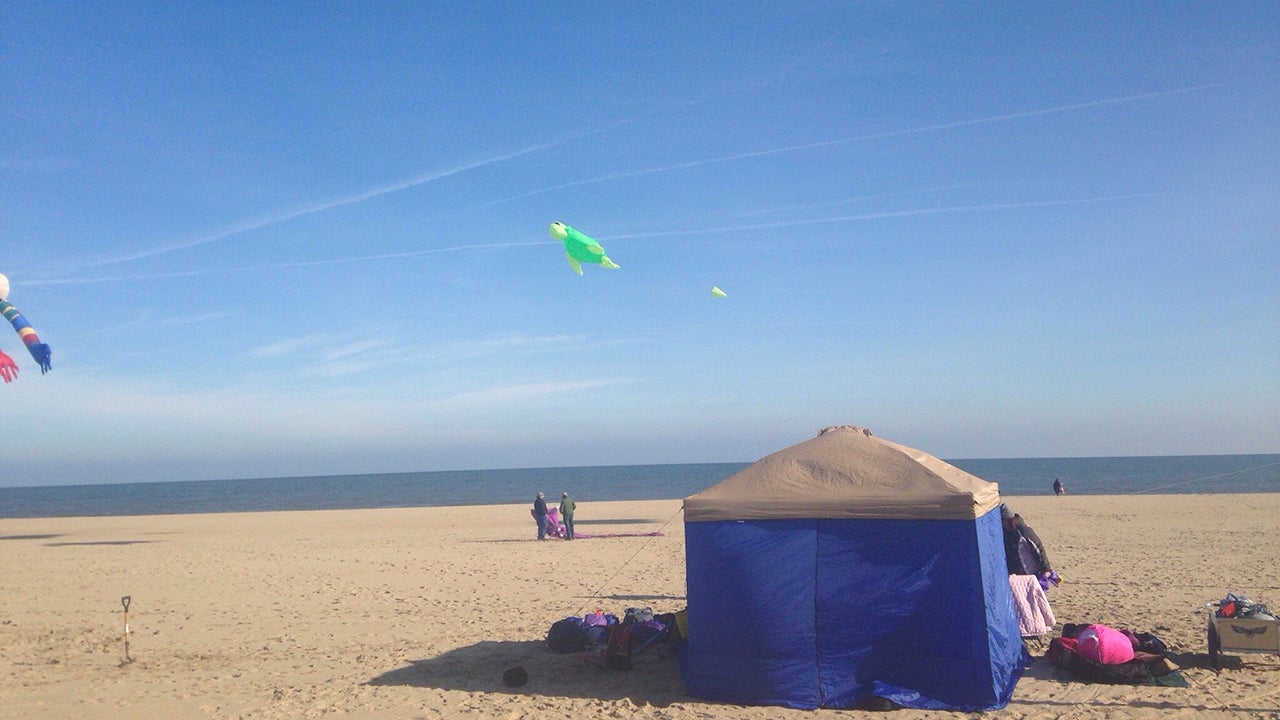 (Courtesy of TripAdvisor)