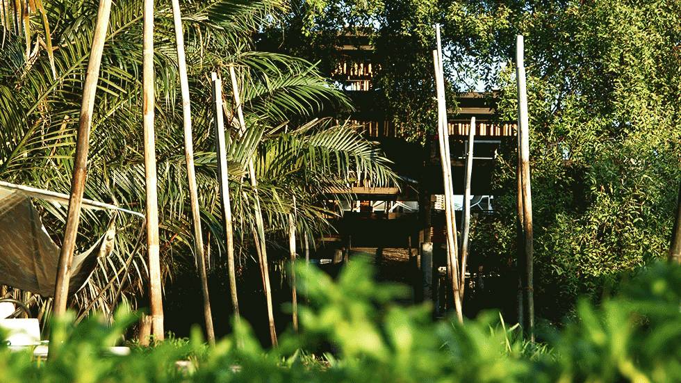 The Bangkok Tree House hotel on the island of Bang Krachao in Thailand. (Bangkok Tree House)