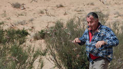 An Israeli man runs through a swarm of locusts arriving over the Negev desert near the Egyptian border on March 6, 2013 in Kmehin, Israel. (Uriel Sinai/Getty Images)