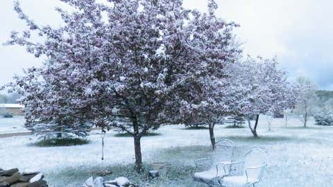 Snow coats a backyard in Rapid City, Michigan, on May 15, 2016.