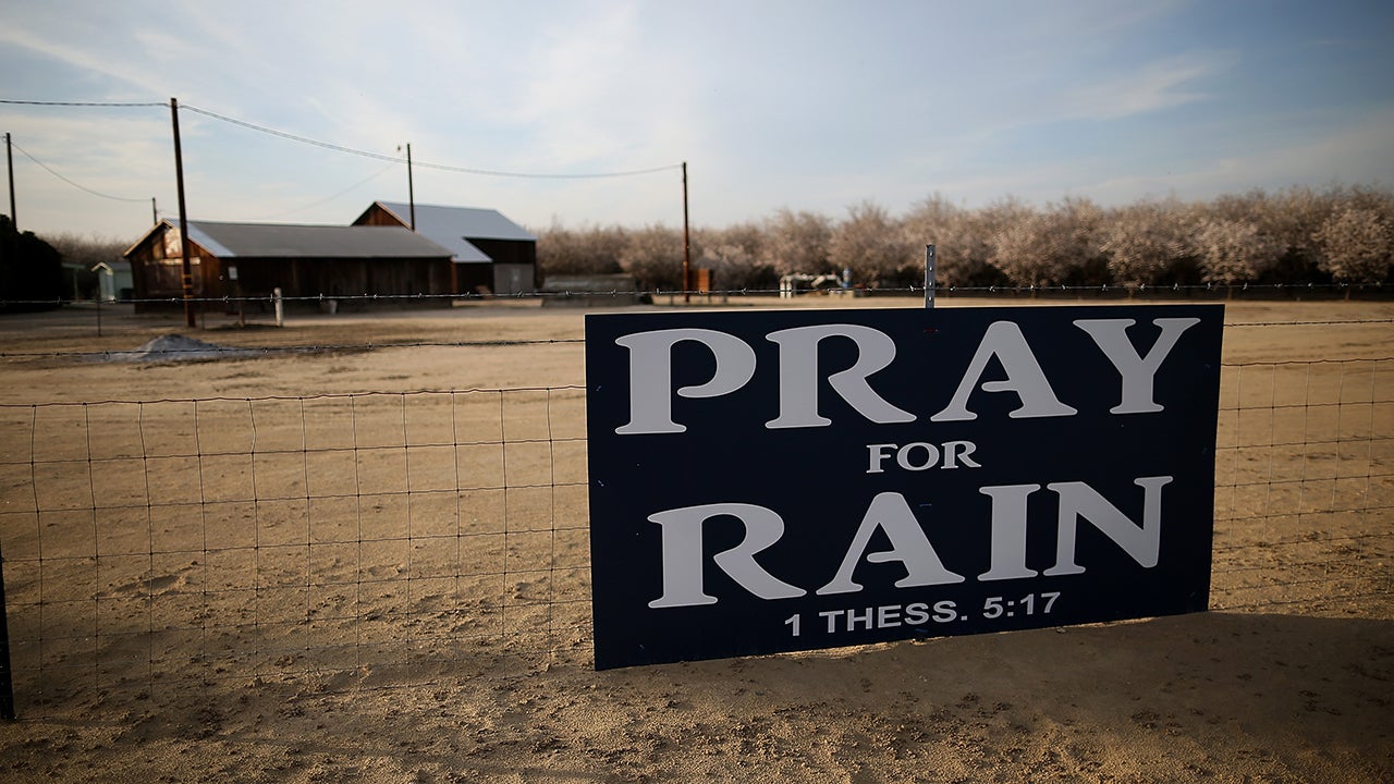 A sign is posted near an almond farm on Feb. 25, 2014, in Turlock, Calif. (Justin Sullivan/Getty Images)