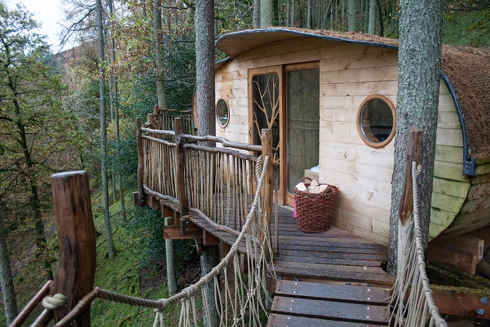 Gwdy Hw's futuristic pod shape makes it stand out against the trees. (Photo: Chris Wild)