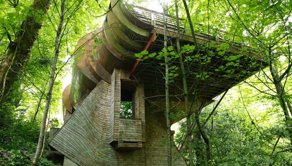 The Wilkinson Residence was built to harmonize with nature. (Photo: Cameron Neilson)