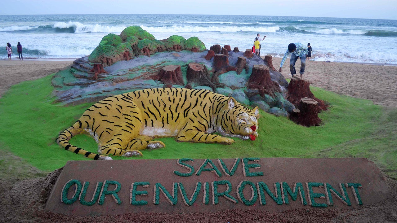 (Photo by ASIT KUMAR/AFP/Getty Images)