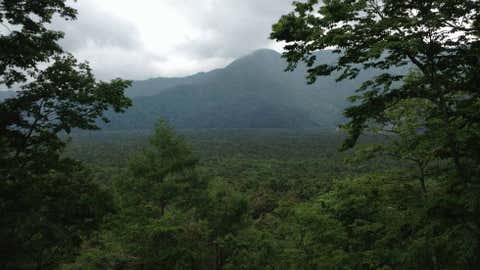 World 039 S Most Haunted Forests The Weather Channel Articles From The Weather Channel Weather Com World 039 S Most Haunted Forests The Weather Channel Articles From The Weather Channel Weather Com