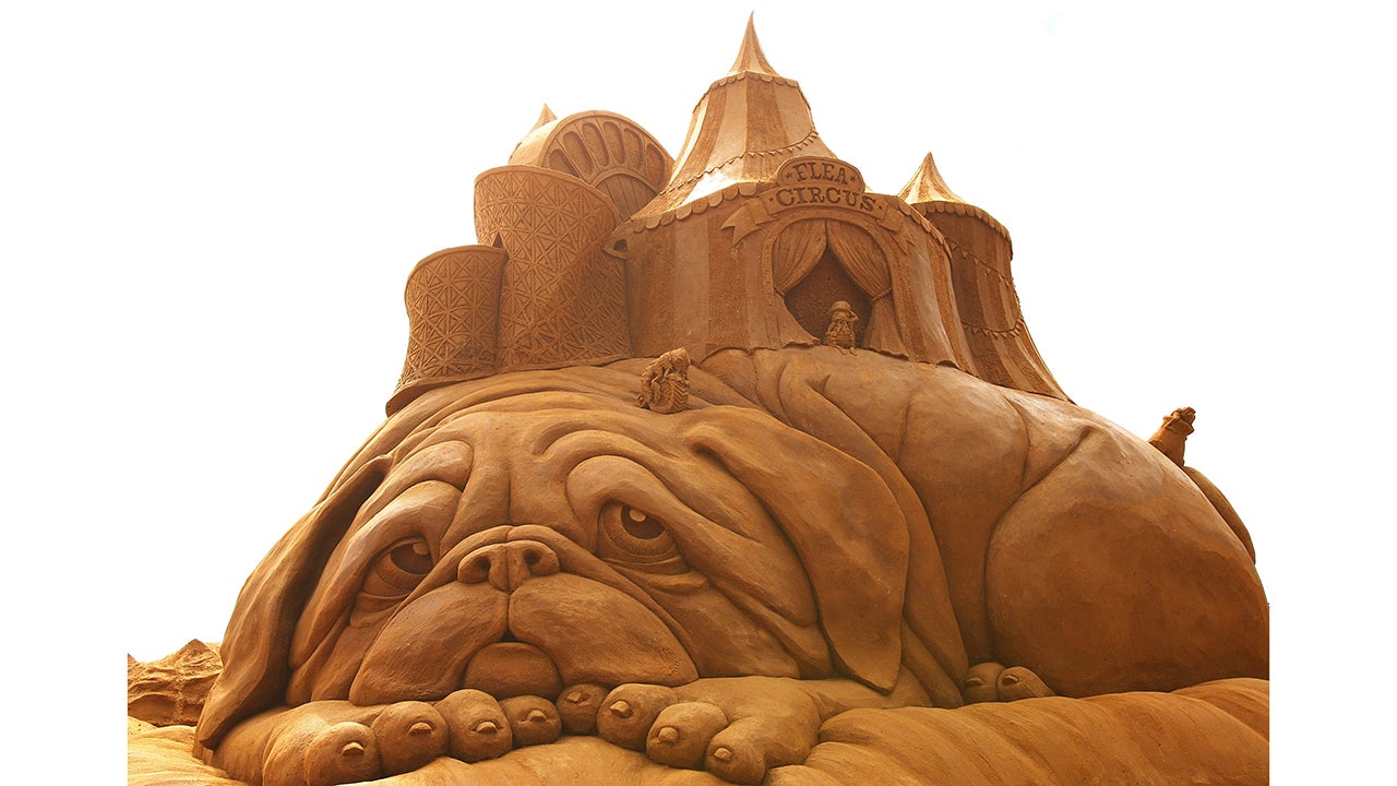 (Photo by Graham Denholm/Getty Images)