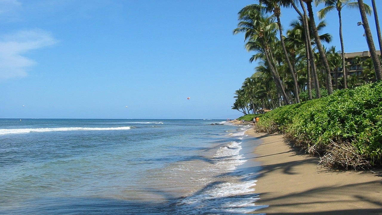 (Courtesy of TripAdvisor)