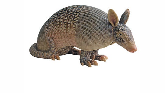This is "Tank" the armadillo. (Image: Skymall.com)