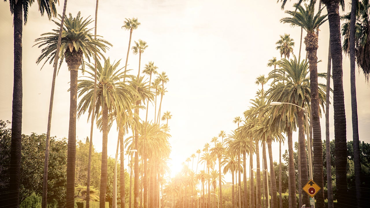 Beverly Hills street with palm trees at sunset, Los Angeles, Calif. (oneinchpunch/Thinkstock)