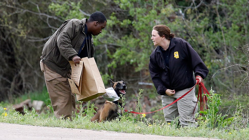 Buddy, the scent dog for the Mississippi Fire Marshal's Office is offered a sniff of a particle of clothing belonging to a 9-year-old girl who authorities say is believed to have been swept away by flash flood waters. (AP Photo/Rogelio V. Solis)