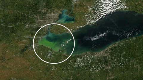 The western end of Lake Erie now has a greenish tint, recent satellite images show. Close-ups show the area between northwest Ohio, southeast Michigan and the far southwestern portion of Ontario.