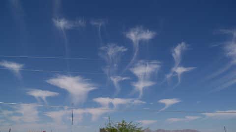 Jellyfish clouds. (iWitness/mike1595)