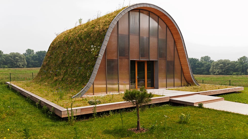 Patrick Nadeau's La Maison Vague in France is covered with vegetation. (Image: Patrick Nadeau)