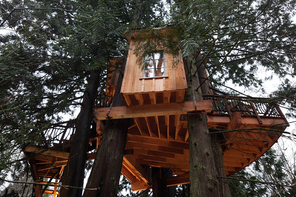 The Bear Creek treehouse, which is in the backyard of famed recording studio Bear Creek Studios in Seattle. (Photo: Nelson Treehouse Supply and Design)