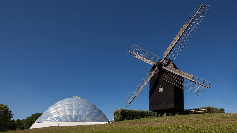 The new greenhouse in the Botanic Gardens at the University of Aarhus in Denmark was designed to be energy-efficient. (Image: C.F. M&oslash;ller Architects)