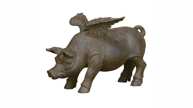 Finally, a pig that can fly. (Image: Skymall.com)