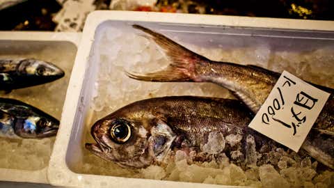 Fish are displayed for sale packed in ice at the Tsukiji fish market on Feb. 28, 2012 in Tokyo, Japan. Tsukiji fish market is the biggest wholesale fish and seafood market in the world. (Daniel Berehulak/Getty Images)es)