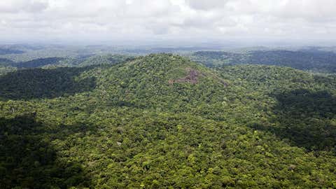 Aerial view taken on October 3, 2008 over the French Guiana's Amazonia, its rainforests contain a tenth of all the CO2 stored on Earth's land surfaces. (JODY AMIET/AFP/Getty Images)