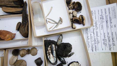 Various fossils found while digging the shaft. (Steve Hymon/Metro)