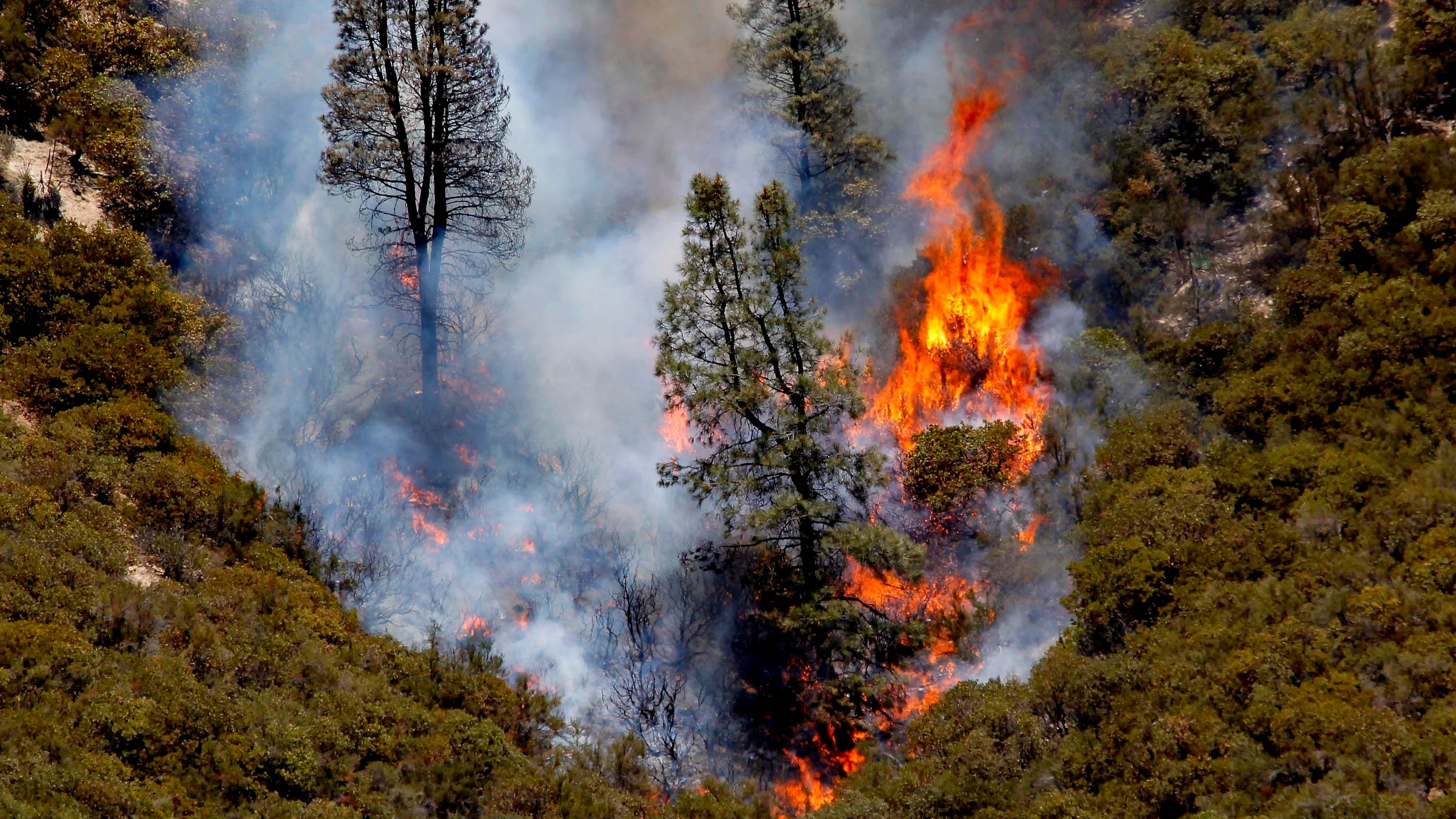 Fire burns a ridge in the rural community of Lake Hughes in northern Los Angeles County. Calif., Monday, June 3, 2013. (AP Photo/Nick Ut)