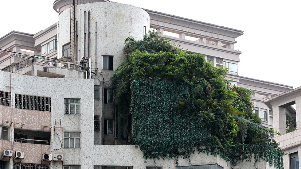 A garden covers three top floors of an apartment building in Guangzhou, south China's Guangdong province. (STR/AFP/Getty Images)