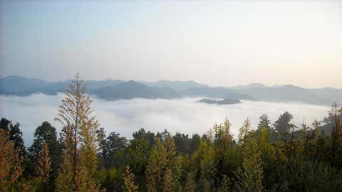 Mountain valley fog in eastern Kentucky. (iWitness/BillEAST48)