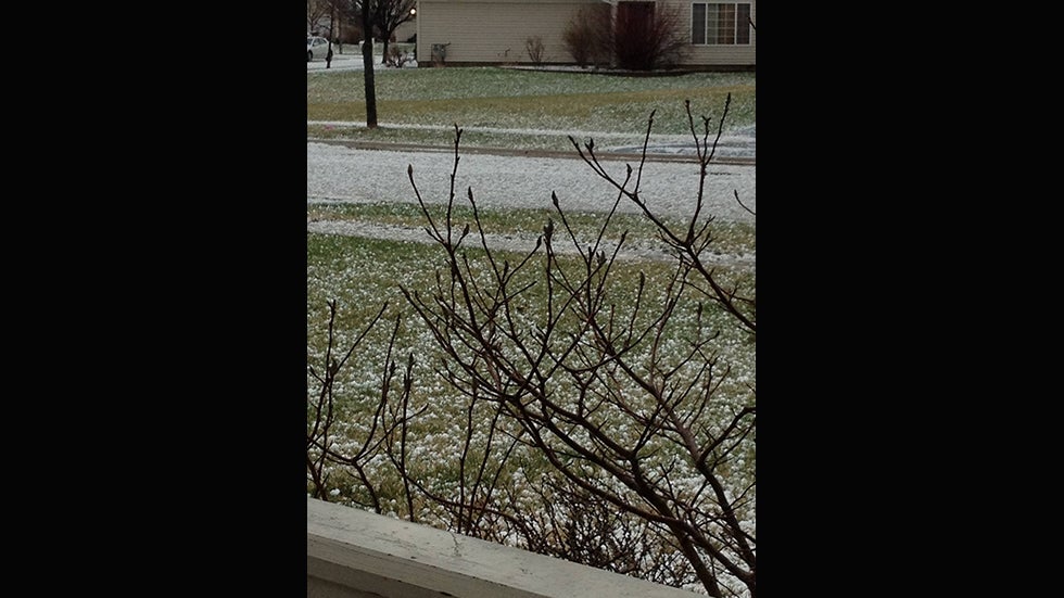 Hail in The Hills,IL. (Photo: Facebook/Cody Connolly)