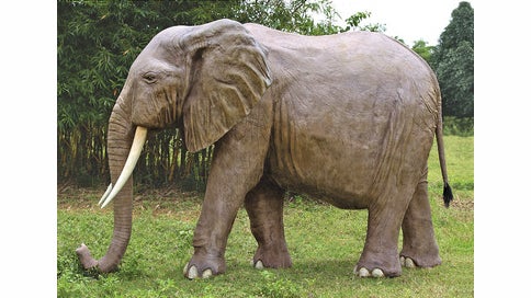 This massive African Elephant sculpture costs $9,495 and weighs nearly 500 lbs. (Image: Skymall.com)