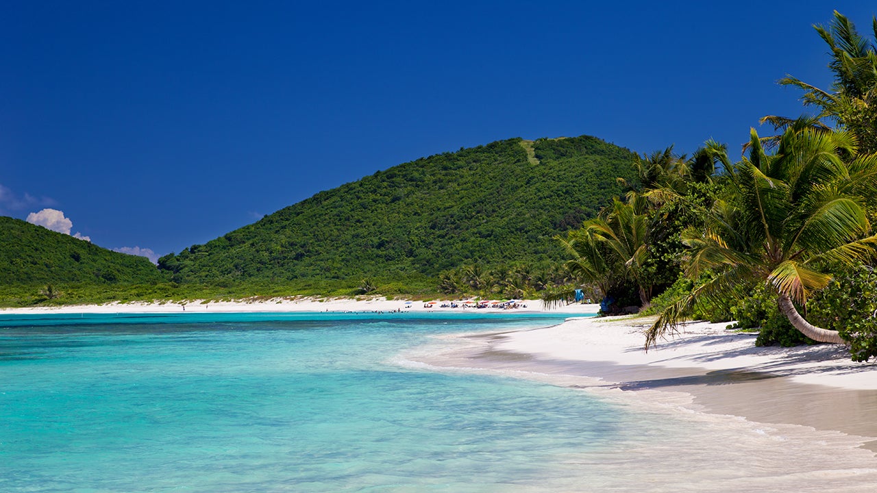 Coconut palm trees at Flamenco Beach on Culebra, Island in Puerto Rico. (Christian Wheatley/Getty Images)