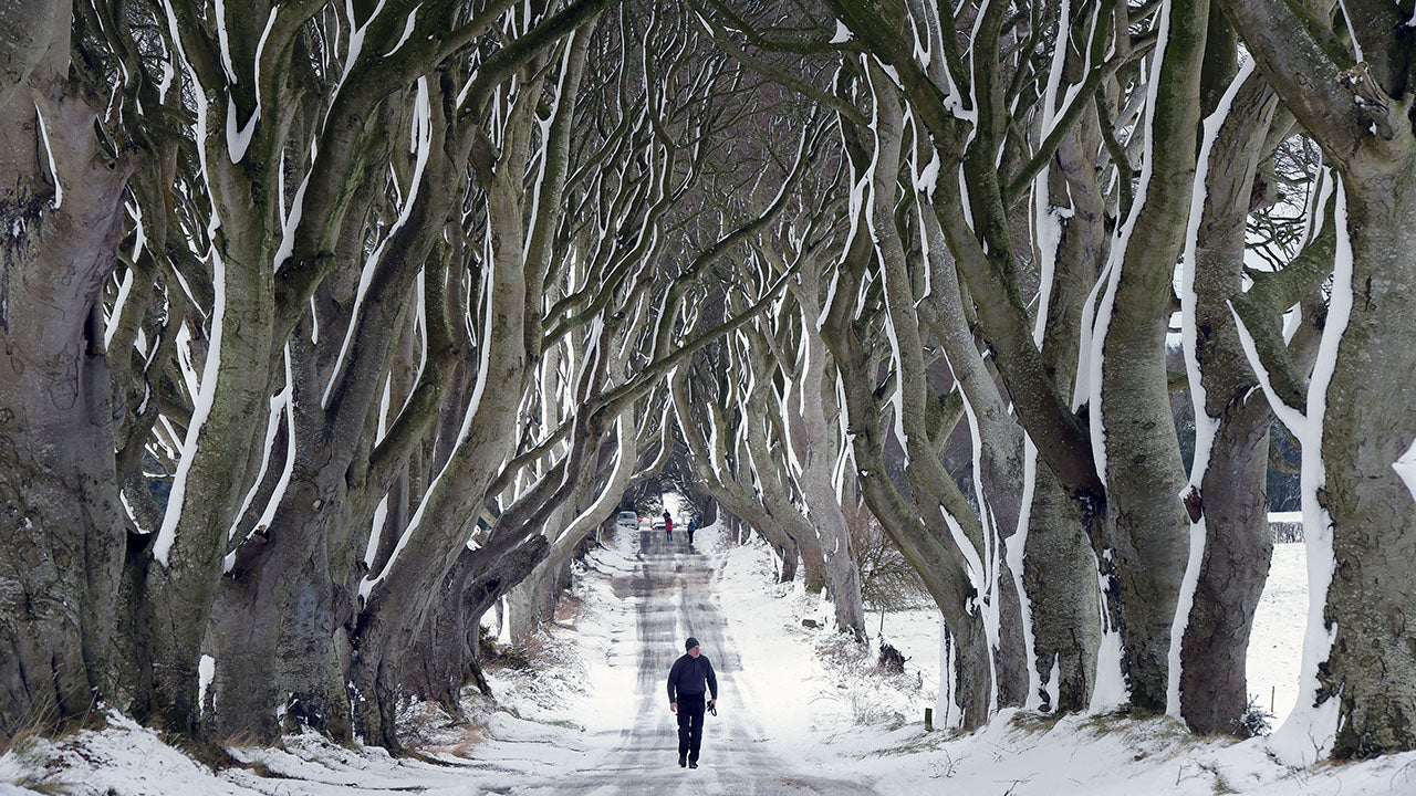 A man walks along the famous Dark Hedges avenue of trees in Antrim, Northern Ireland. This famous tunnel-liked avenue of intertwined beech trees was planted in the 18th-century. (Charles McQuillan/Getty Images)