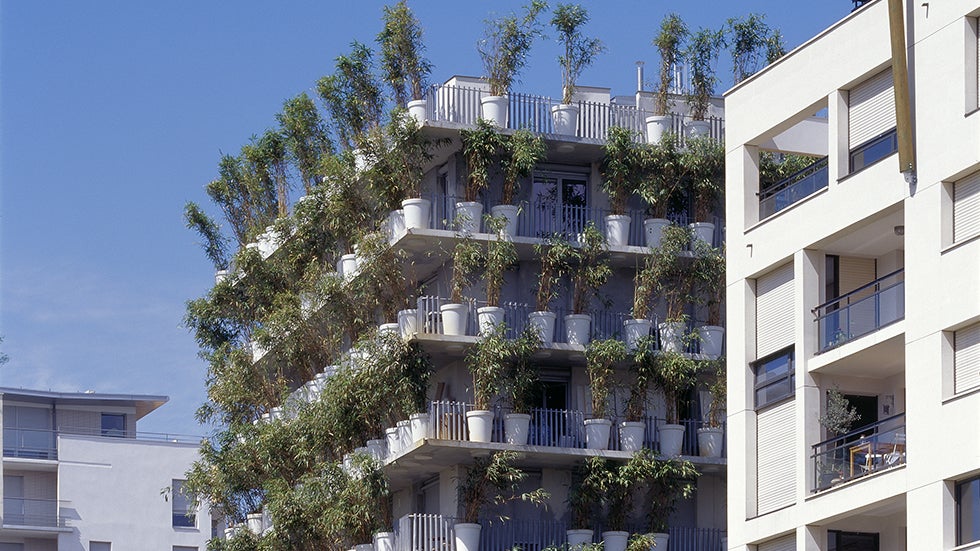 The Tower Flower in Paris. (Paul Raftery/Maison Edouard Fran&ccedil;ois)