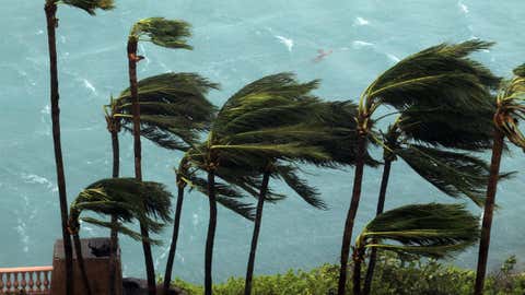 Wind brought by Hurricane Matthew blow palm trees on Paradise Island in Nassau, Bahamas, Thursday, Oct. 6, 2016. The head of the Bahamas National Emergency Management Authority, Capt. Stephen Russell, said there were many downed trees and power lines, but no reports of casualties.