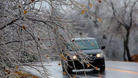 Ice-covered limbs hang near the ground as traffic passes by Saturday, Nov. 28, 2015, in Oklahoma City. (Jim Beckel/The Oklahoman via AP)