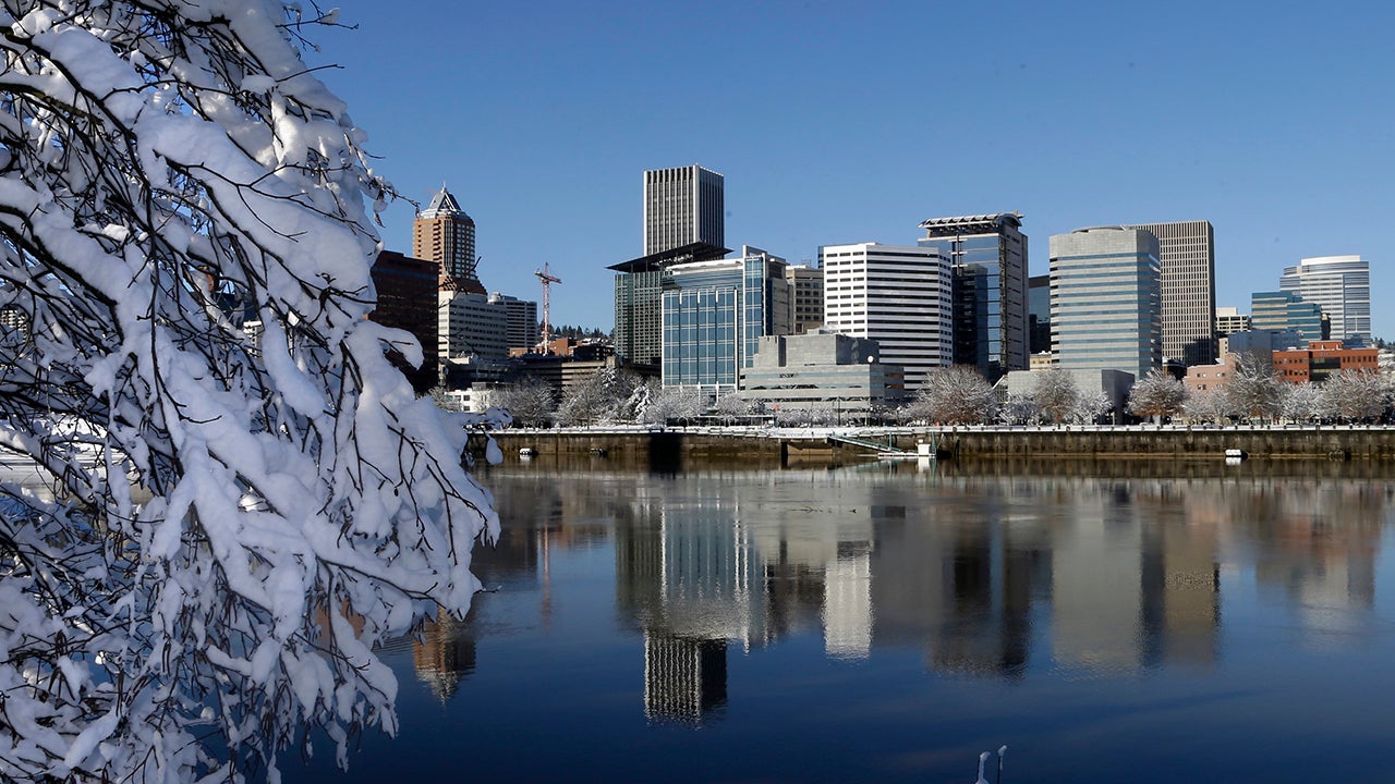 Snow and ice cling to tree limbs as downtown Portland, Ore., is reflected in the Willamette River under blue skies, Thursday, Jan. 12, 2017. Schools were closed and more than 5,000 Portland General Electric customers remained without power Thursday as the Portland area recovers a snowstorm. (AP Photo/Don Ryan)