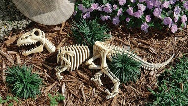We're science geeks, so we have to admit this raptor skeleton sculpture is pretty cool. (Image: Skymall.com)