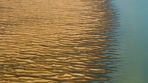 Severe drought reveals the remains of a tree on the banks of the Madeira River near Nova Olinda do Norte, Brazil, Oct. 21, 2005. (© Daniel Beltrá, courtesy of Catherine Edelman Gallery, Chicago )