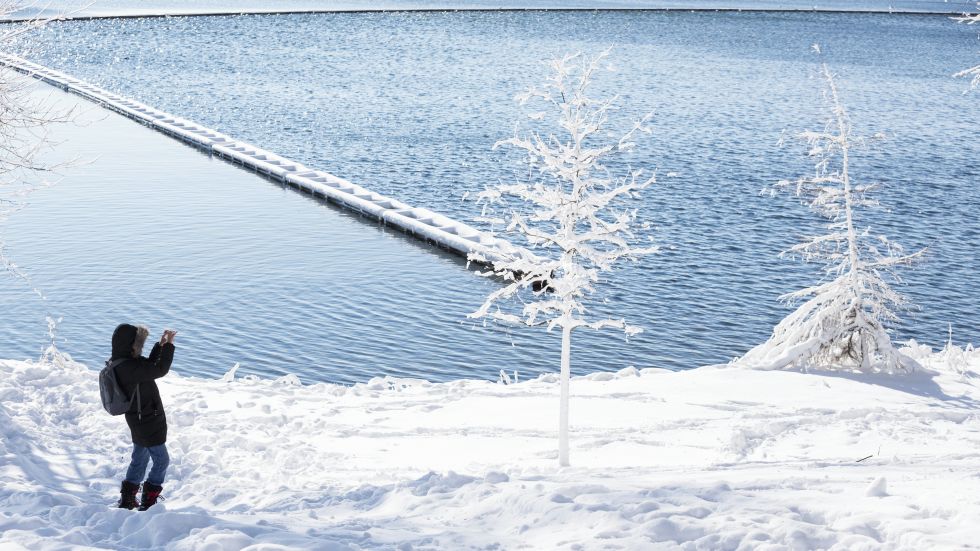 Peggy Moore photographs a tree at B.B. Clarke Beach on Dec. 21. A day after a record snow storm hit Wisconsin, schools were closed Thursday and Friday. (Andy Manis/Getty Images)