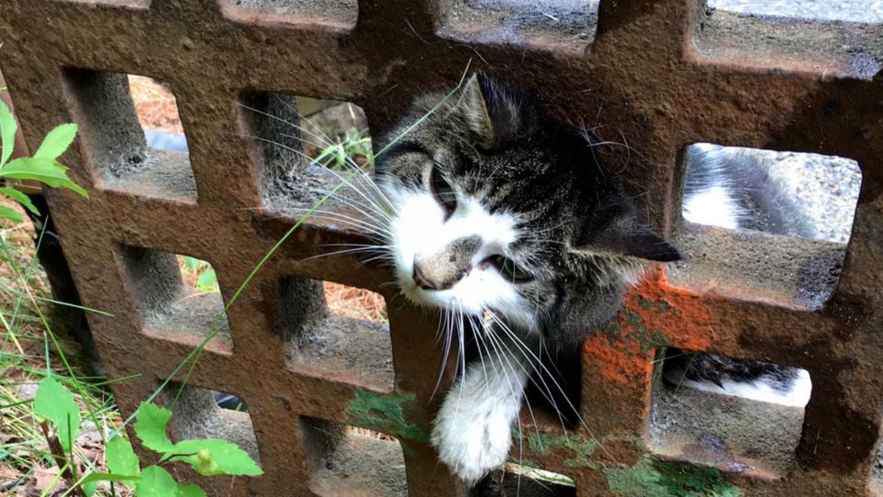 One step closer to being freed.