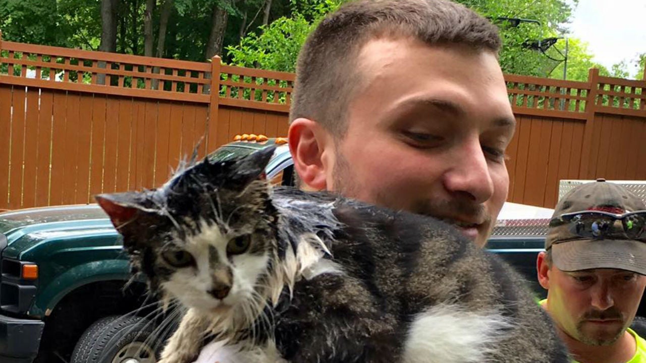 It was a happy ending for this little feline.