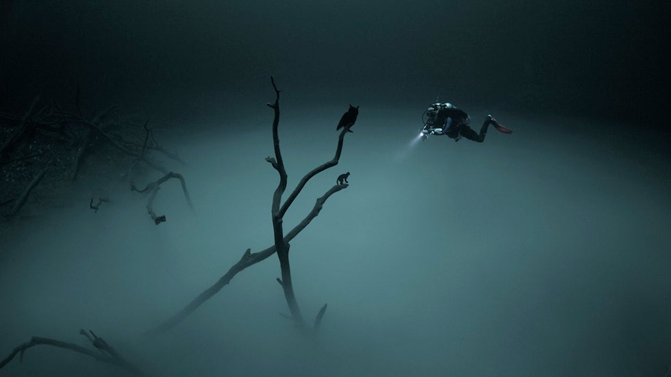 Angelita Cenote, Tulum, Mexico. (Photo courtesy Lia Barrett Photography)