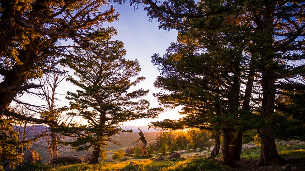 Geoff Harding, Wild Iris, Wyo. (Jeremiah Watt)