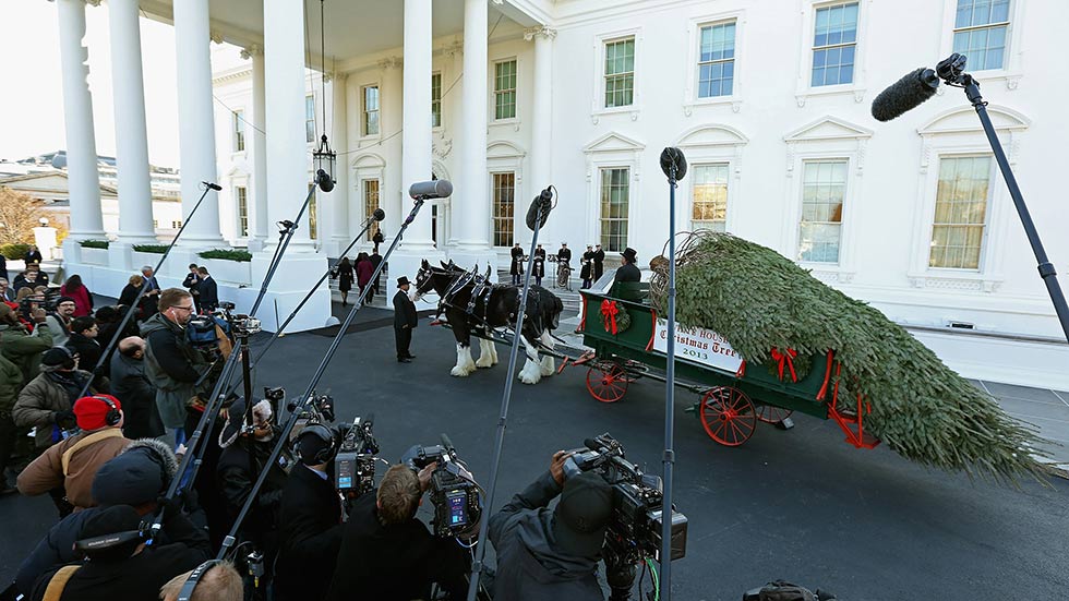 The 2013 White House Christmas tree is an 18.5 foot Douglas Fir grown in Lehighton, Penn. (Image: Chip Somodevilla/Getty Images)