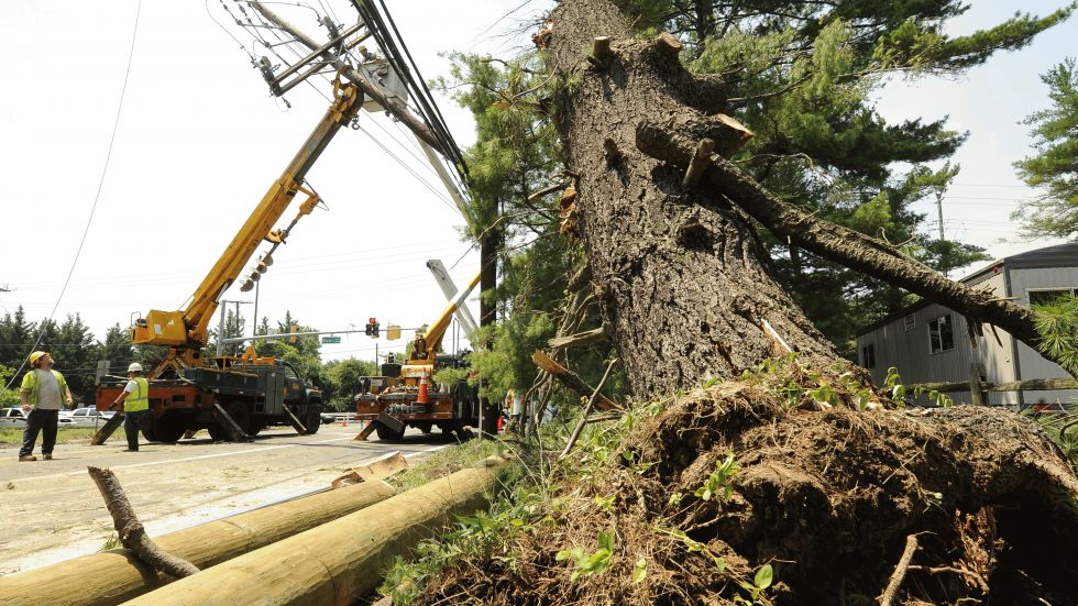 A partially-uprooted tree is seen as Pepco employees work on damaged utility poles and lines.