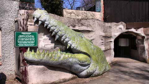 The abandoned dinosaur-themed attraction was part of Drayton Manor Park in Tamworth, England. It featured replicas of T-rex, a mammoth and other prehistoric creatures. (Jason Kirkham/Media Drum World)