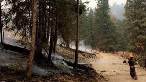 Finlay Creek Fire (Photo courtesy BC Wildfire Service)