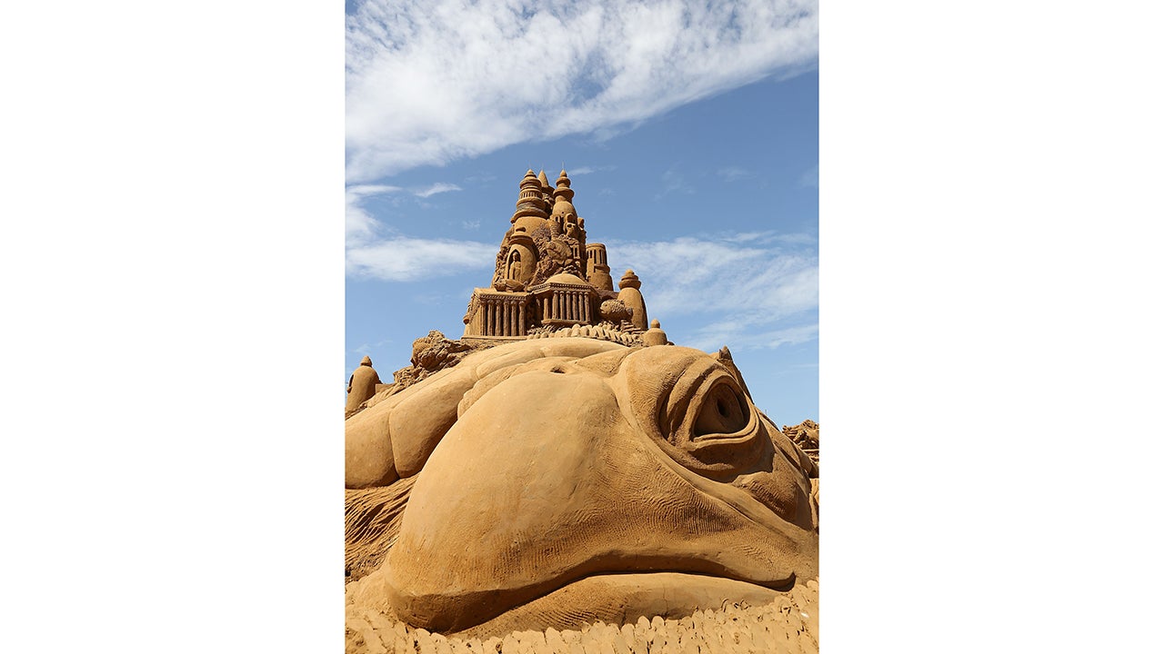 (Photo by Graham Denholm/Getty Images)