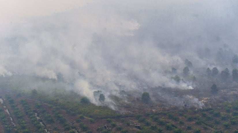 This picture taken from a Kamov helicopter operated by Indonesia's Disaster Mitigation Agency shows fires burning at a concession area in Pelalawan, Riau province on September 17, 2015. (ADEK BERRY/AFP/Getty Images)