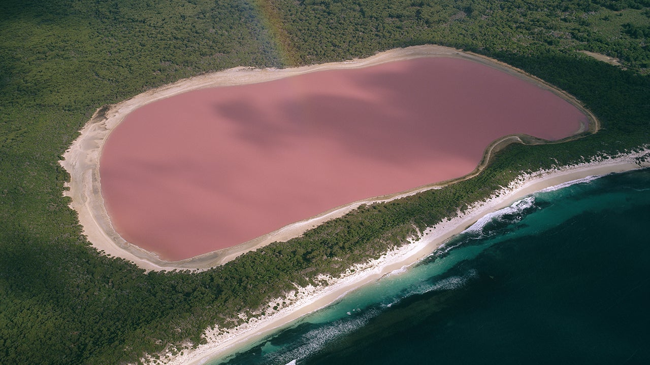 The reason for the color of Australia's Lake Hillier remains a mystery. It is not due to the presence of algae such as Dunaliella salina, unlike other salt lakes on mainland Australia. (Auscape/Getty Images)
